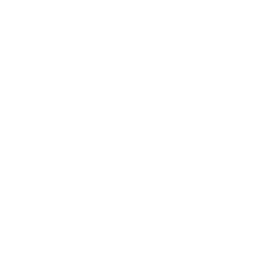 Vulture